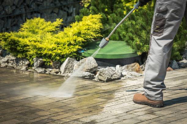 Best Sidewalk and Walkway Cleaning  in Poteet, TX