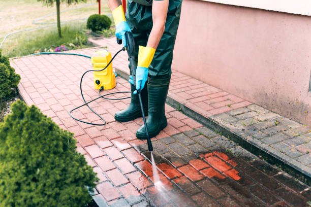 Best Dumpster Area Cleaning  in Poteet, TX